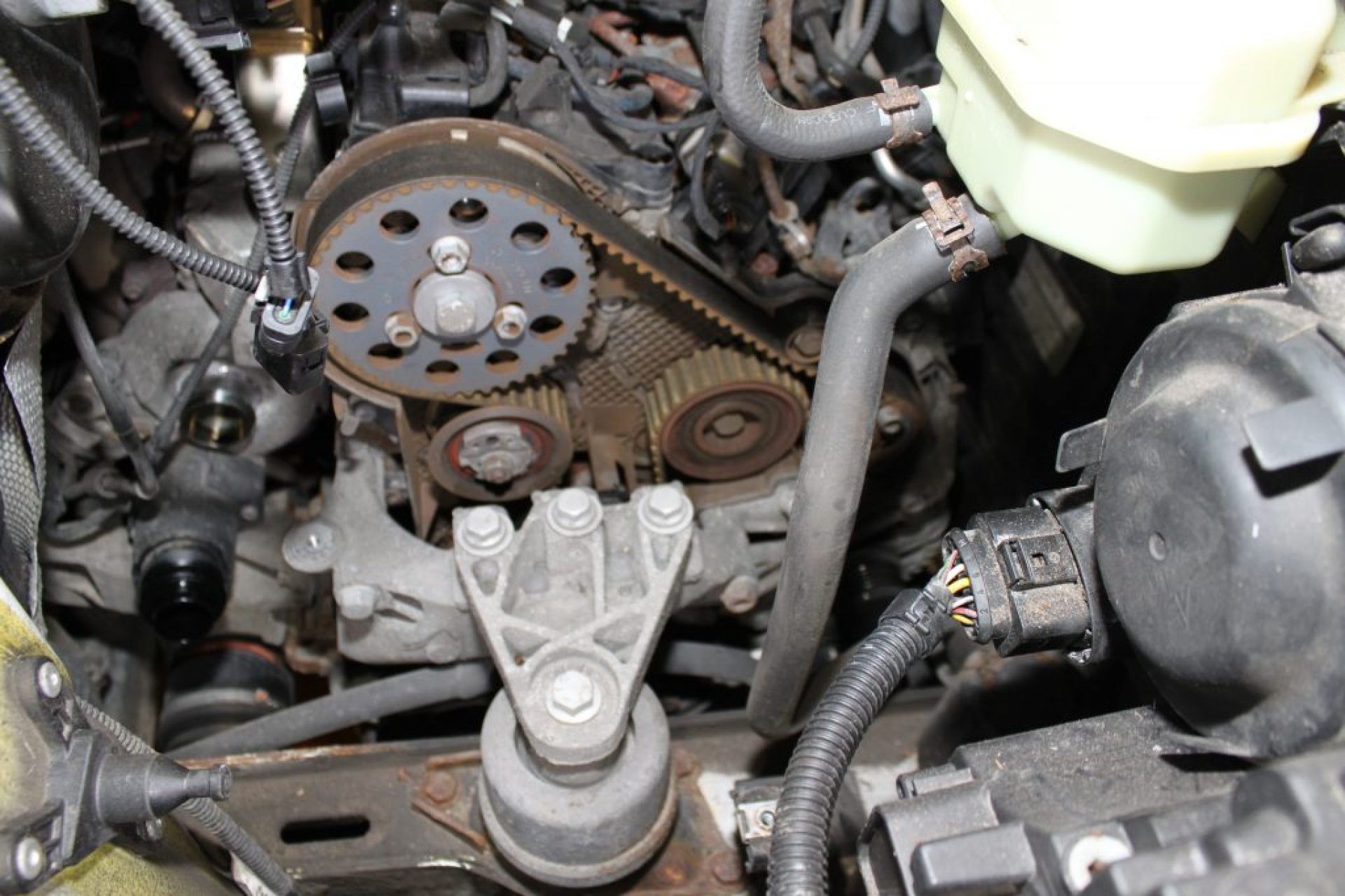 vw-timing-belt-YBgyxb971Jclo3Lq